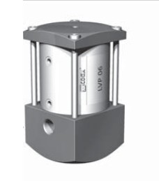 1630395702790861.jpg LVP 06.JPG